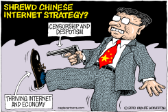 CHINESE INTERNET STRATEGY  by Monte Wolverton