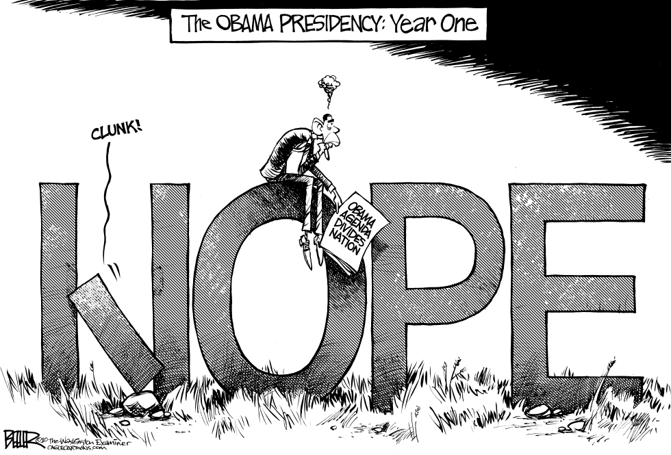 Obama Year One