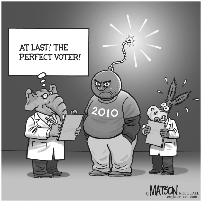 The Perfect Voter