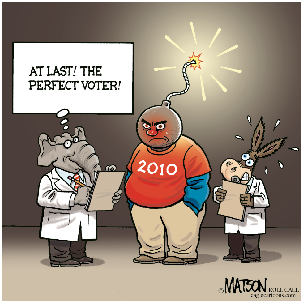 The Perfect Voter-COLOR