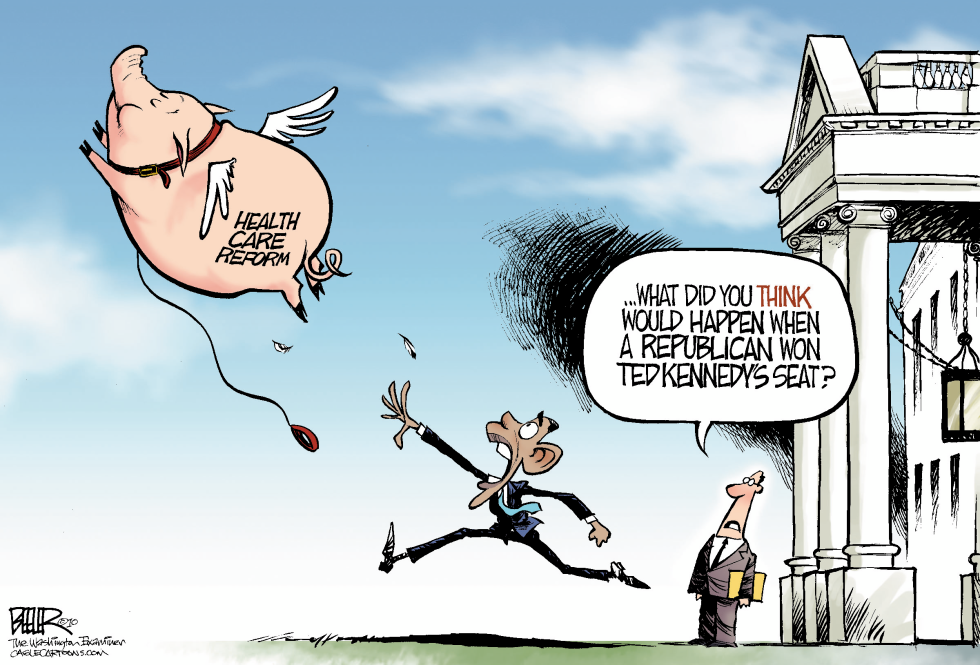 When Pigs Fly COLOR