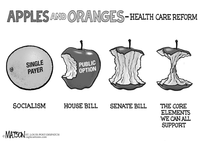 Apples And Oranges