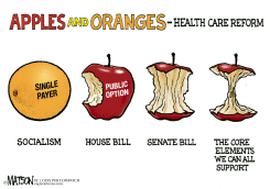 APPLES AND ORANGES by R.J. Matson