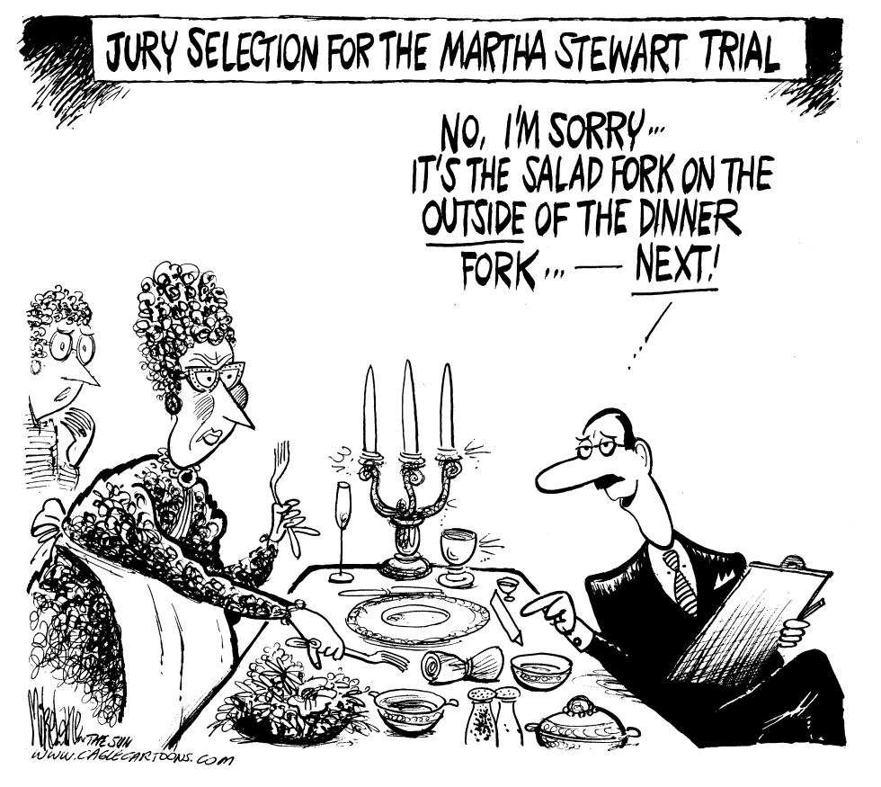  MARTHA STEWART JURY by Mike Lane