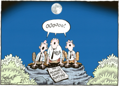 NO MOON FOR NASA  by Bob Englehart