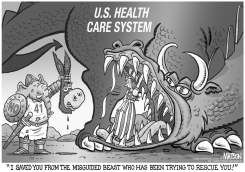 HEALTH CARE RESCUE by R.J. Matson
