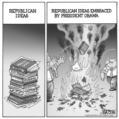 REPUBLICAN IDEAS by R.J. Matson