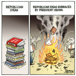 REPUBLICAN IDEAS by R.J. Matson