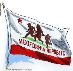 MEXIFORNIA  by Taylor Jones
