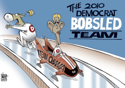 2010 DEMOCRAT TEAM,  by Randy Bish
