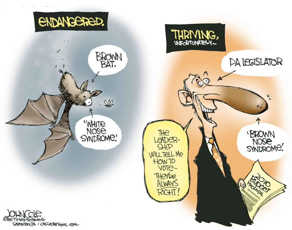 LOCAL PA -- Brown-nose syndrome COLOR