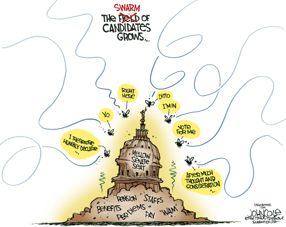 LOCAL PA -- Swarm of candidates