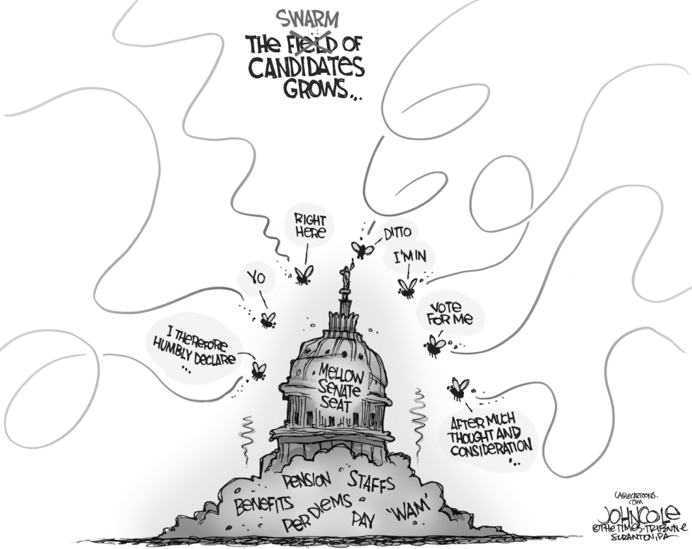 LOCAL PA -- Swarm of candidates BW
