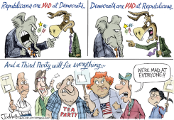THIRD PARTY by Joe Heller