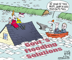 LOCAL IL-GOVT FLOODING SOLUTIONS  by Gary McCoy