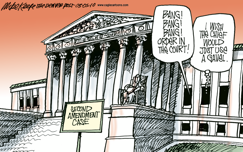 Second Amendment Case COLOR