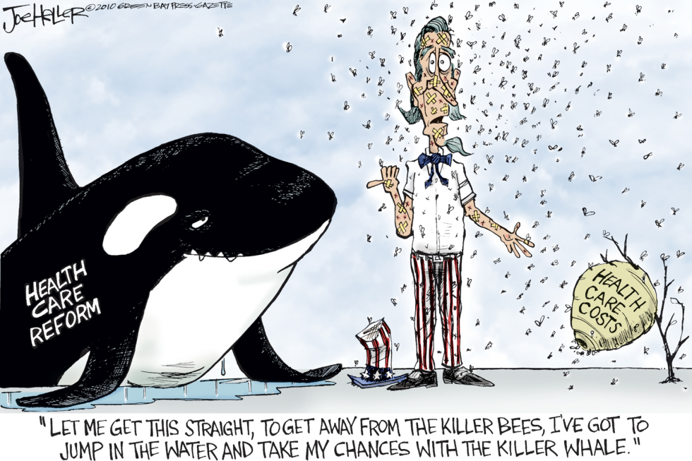 Killer whales