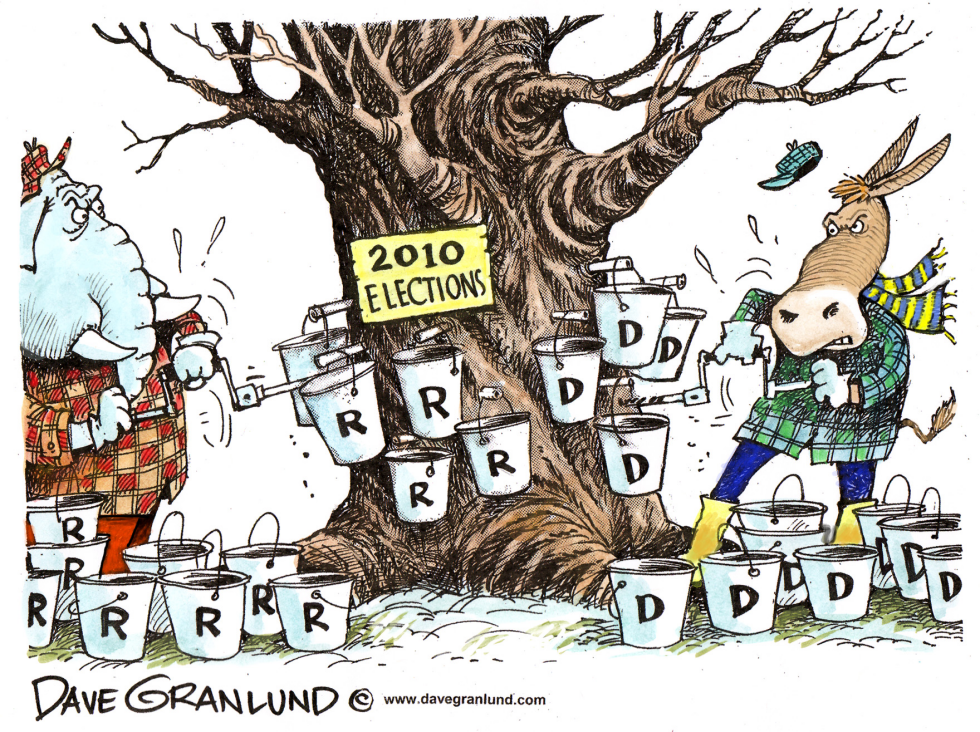 Tapping into 2010 voters