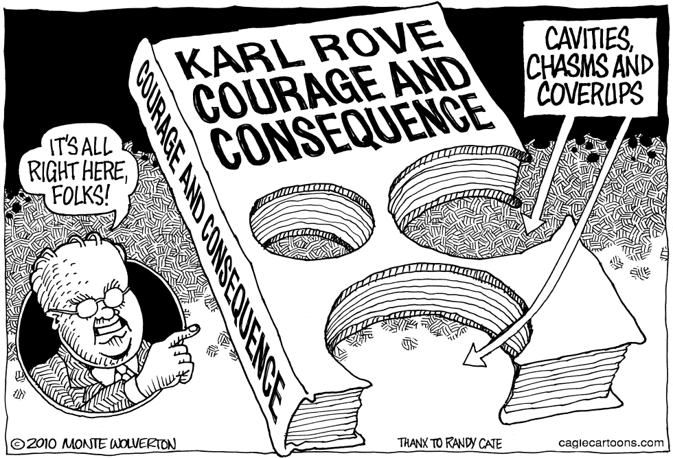 Karl Roves New Book