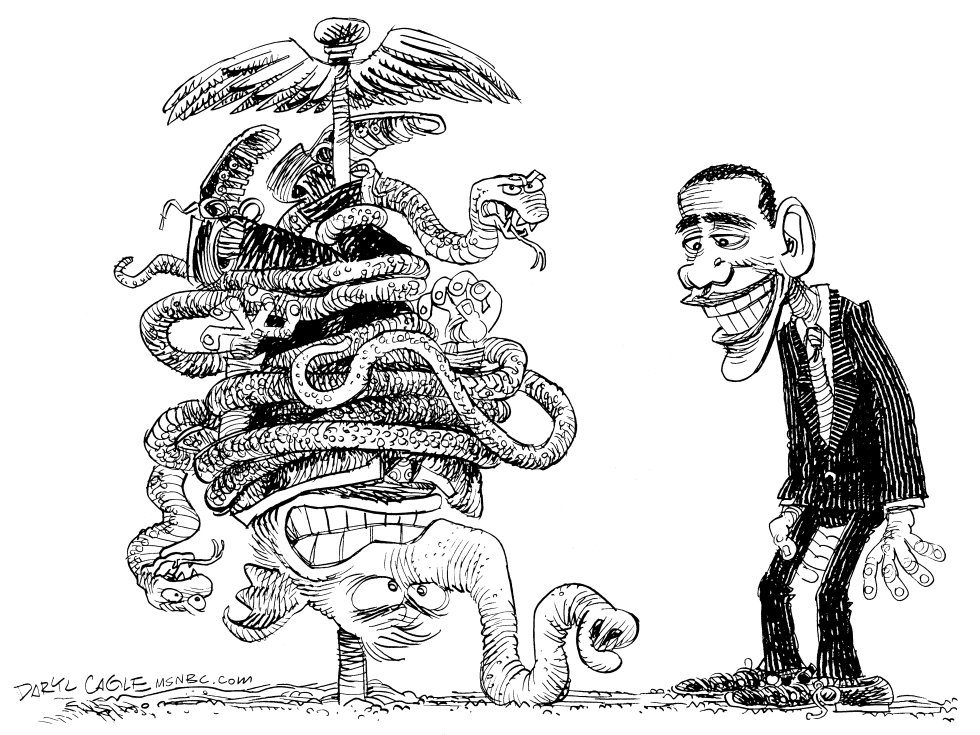  OBAMA GANA HEALTHCARE by Daryl Cagle