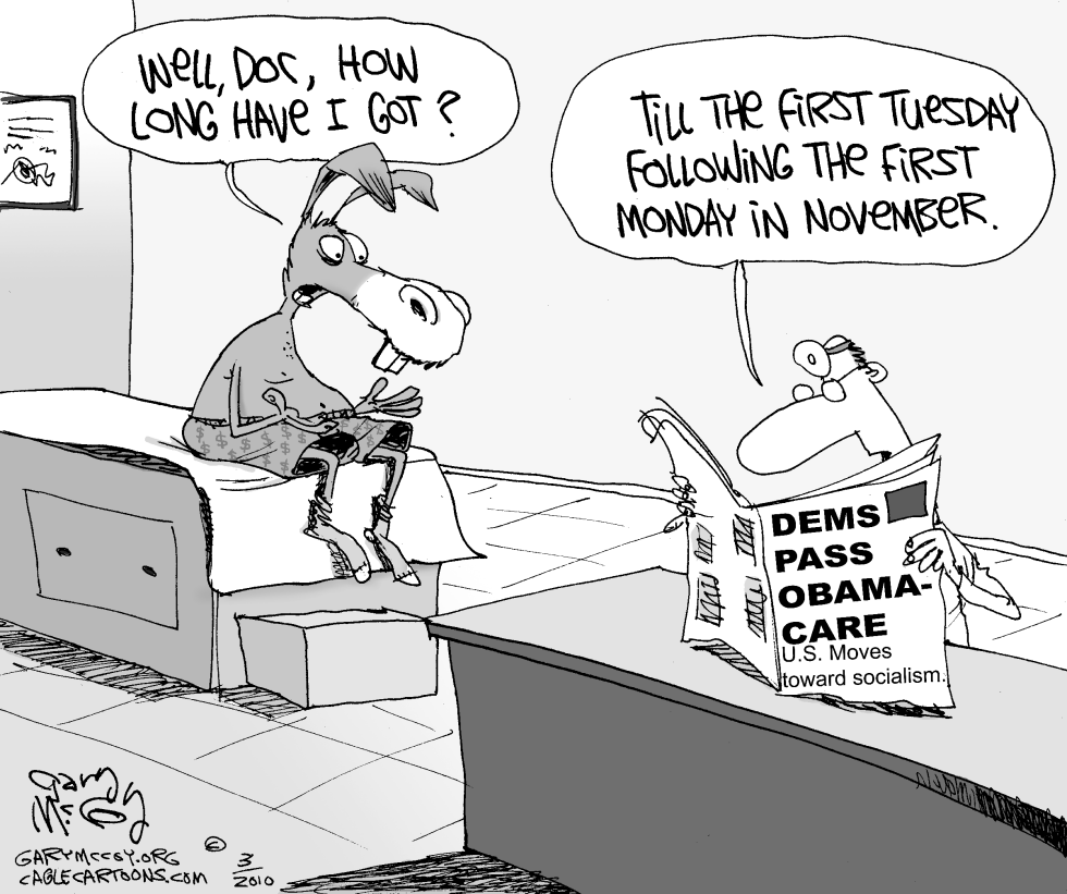 ObamaCare Passes