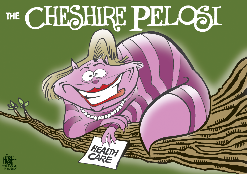 CHESHIRE PELOSI, COLOR