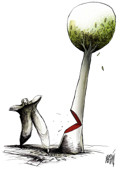 EL GRITO /  by Angel Boligan