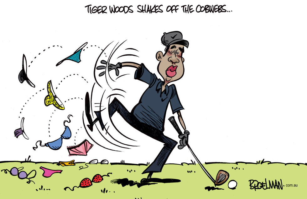 Tigers cobwebs