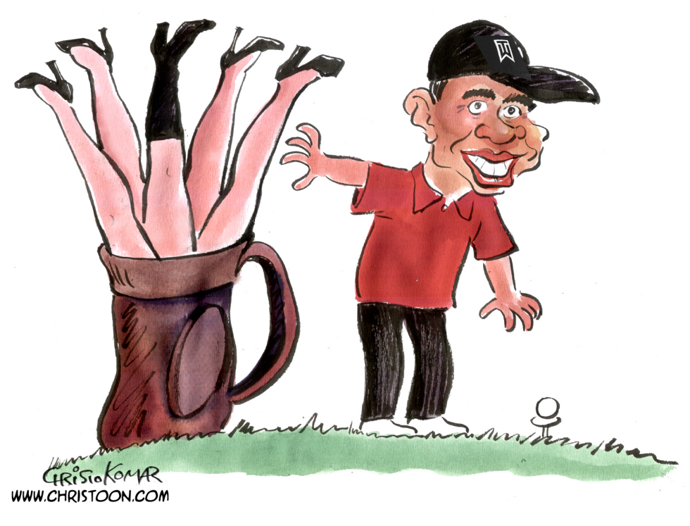 Tiger's back - COLOR