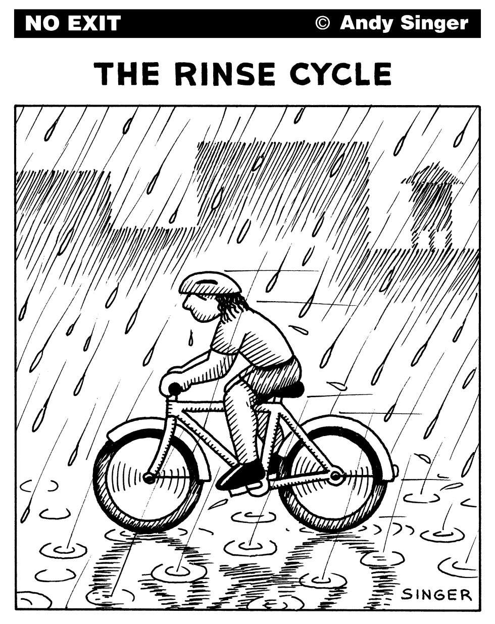 Rinse Cycle