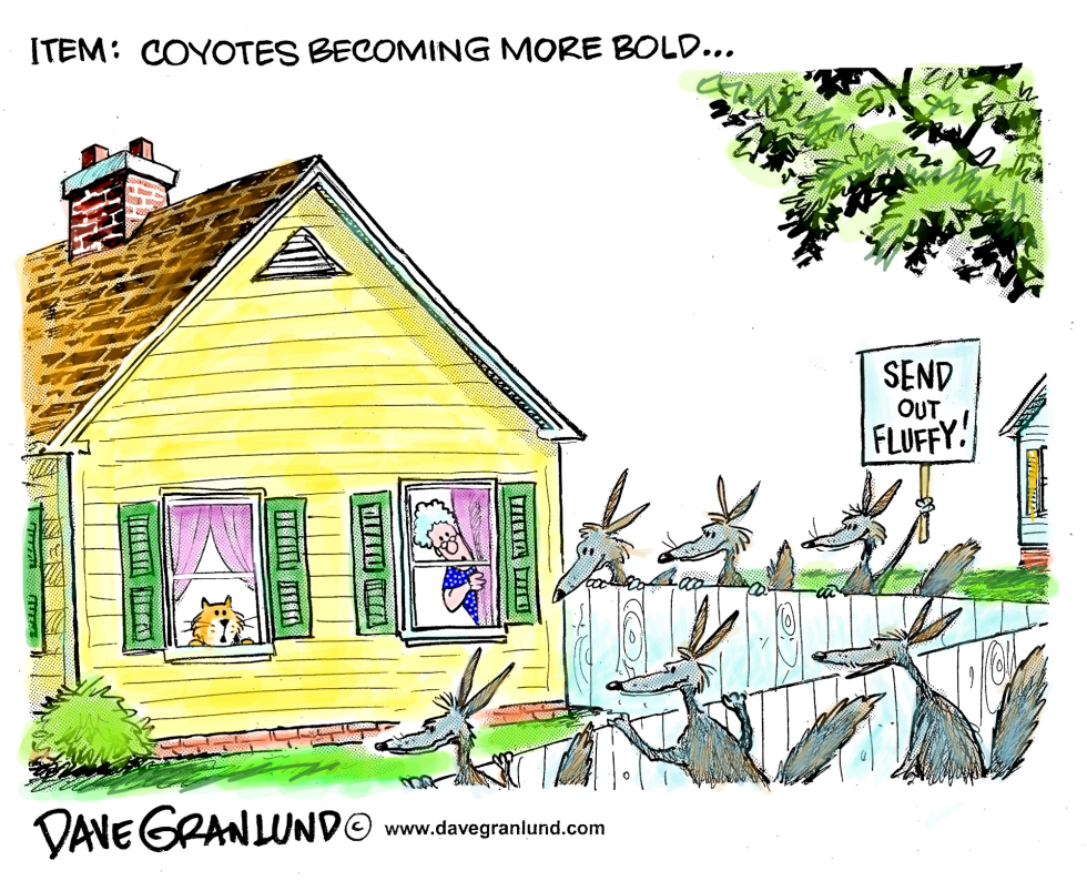  COYOTES IN SUBURBIA by Dave Granlund