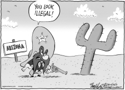 ARIZONAS IMMIGRATION LAW by Bob Englehart