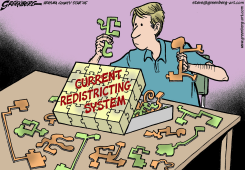 REDISTRICTING by Steve Greenberg