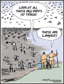 OILY BIRDS AND LAWYERS by J.D. Crowe