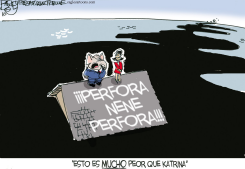 BP KATRINA / by Pat Bagley
