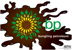BUNGLING PETROLEUM by R.J. Matson