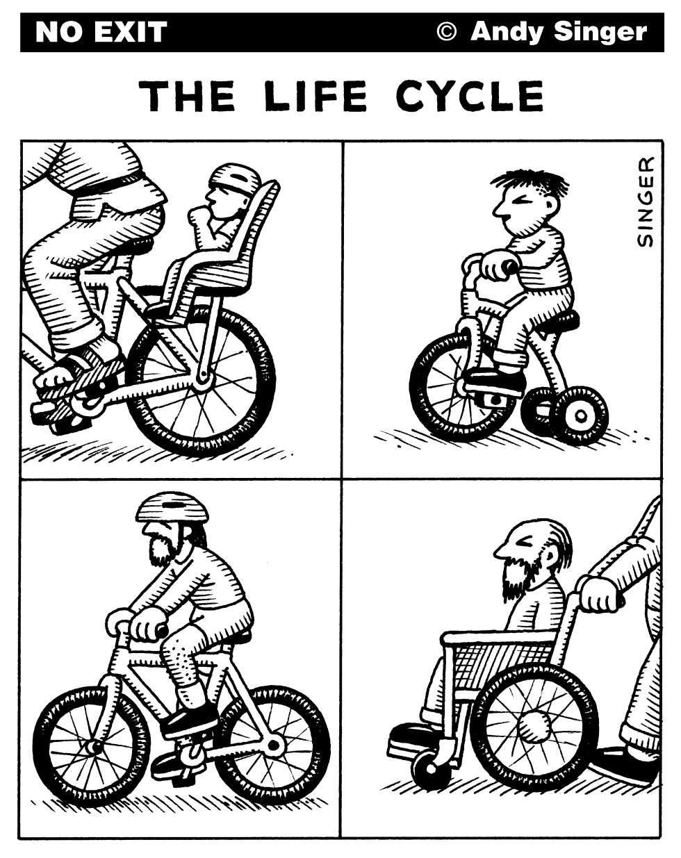 Life Cycle