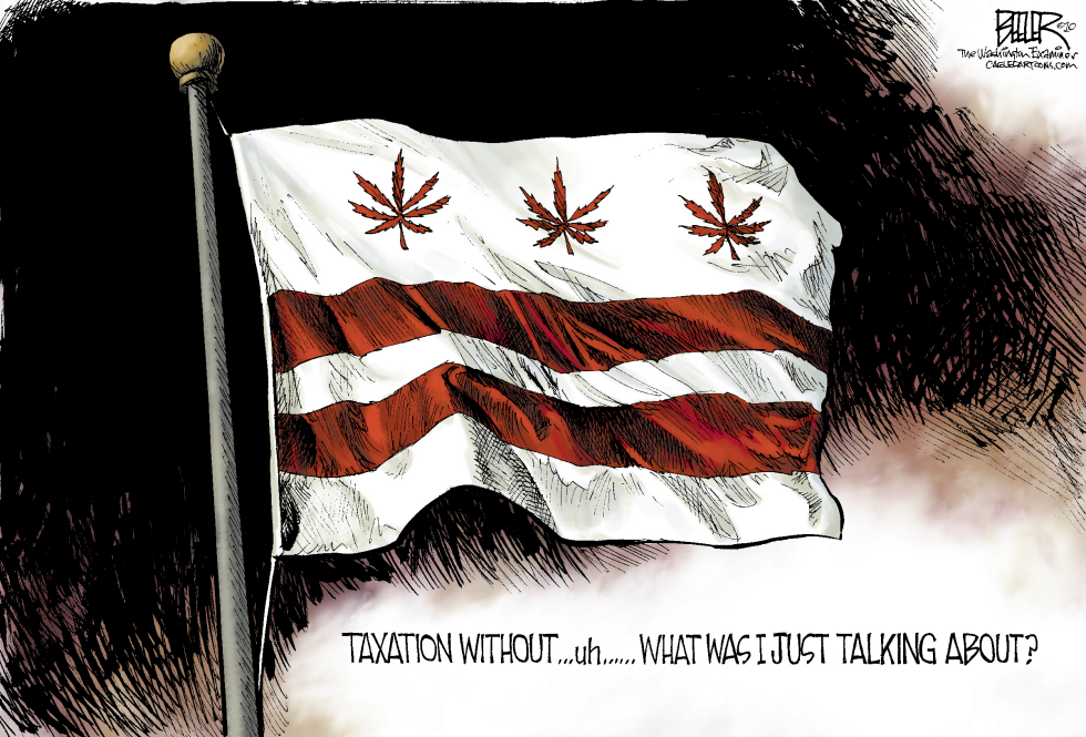  LOCAL DC - GONE TO POT by Nate Beeler