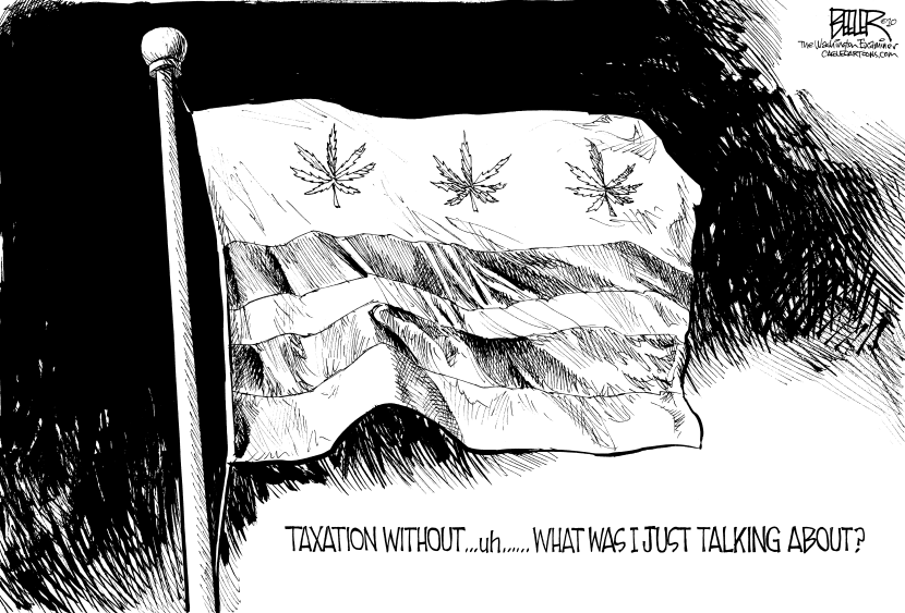 LOCAL DC - Gone to Pot