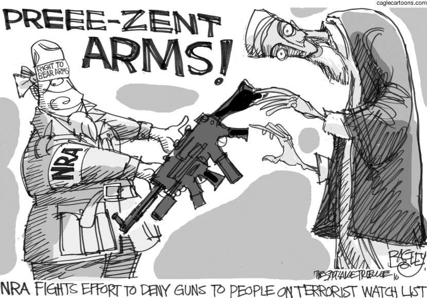 I Am the NRA