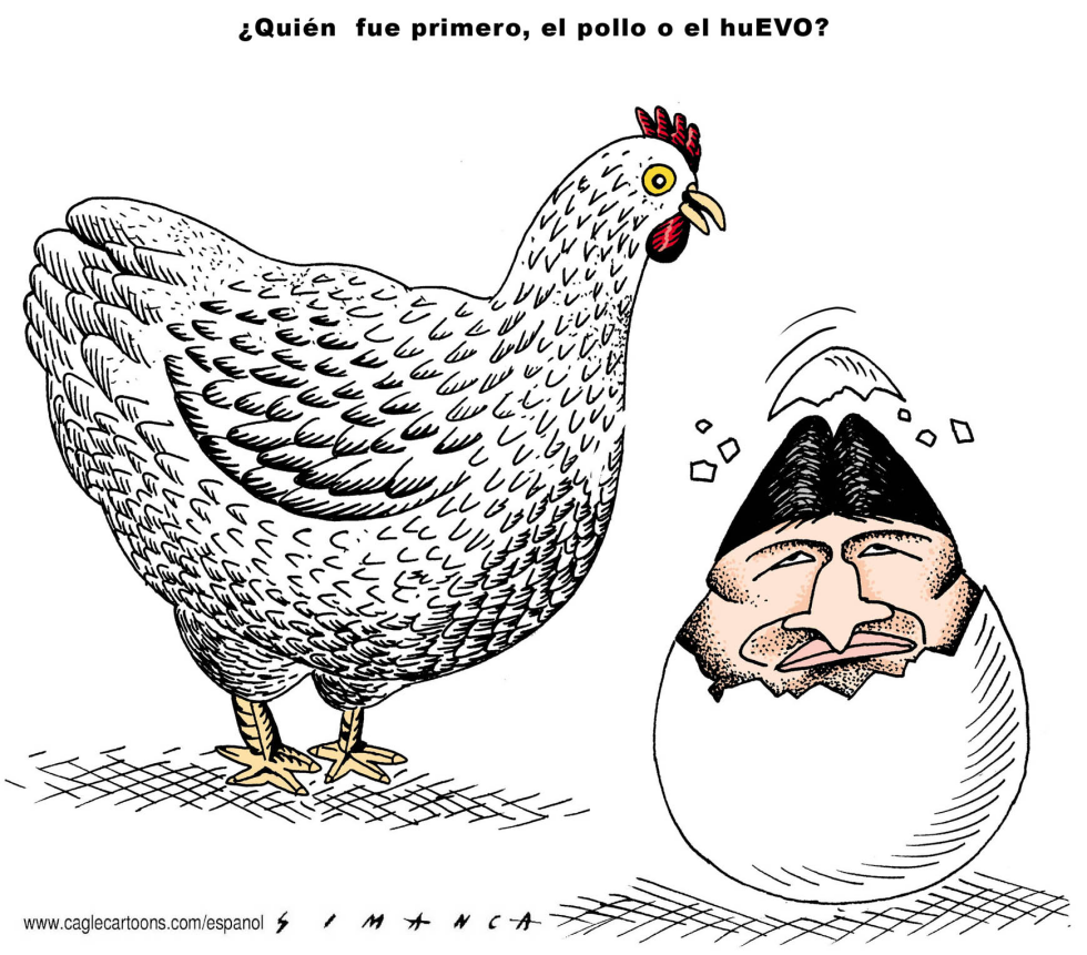 huEVO Morales / COLOR