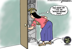 CALIFORNIA CLOSET by Steve Greenberg