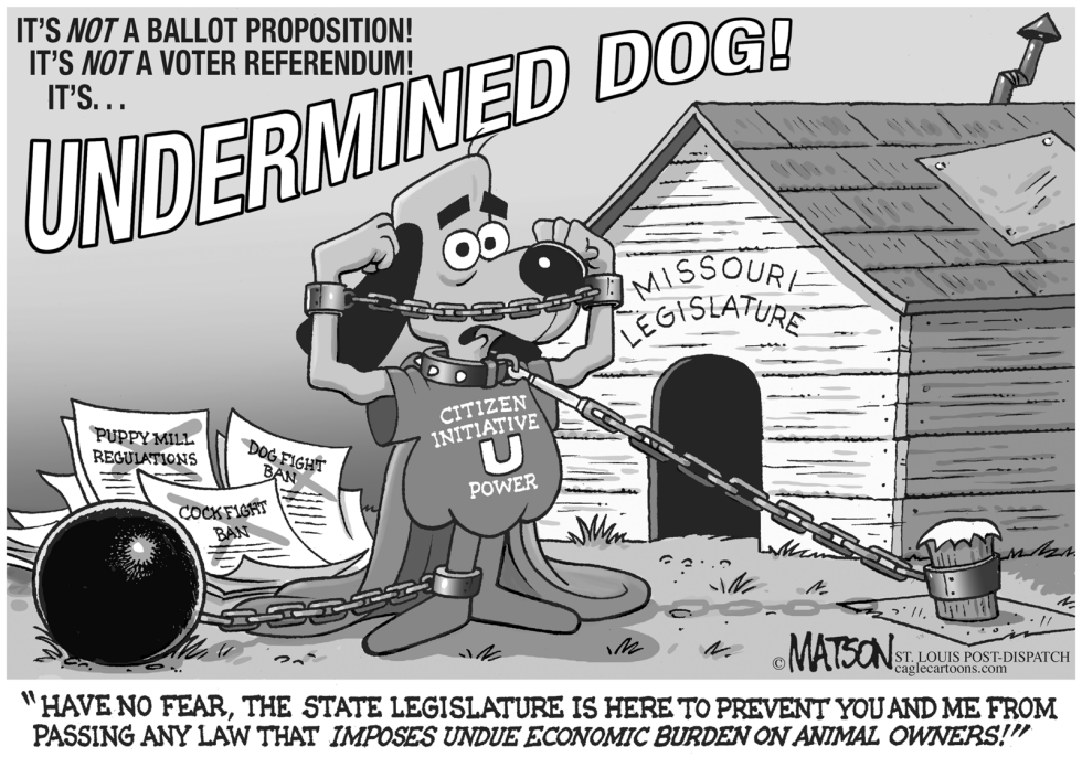 Local MO-Undermined Dog