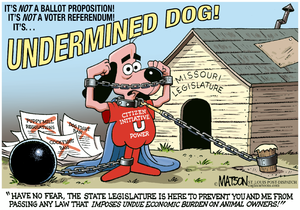 Local MO-Undermined Dog-COLOR