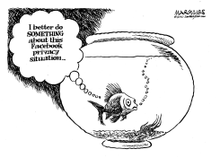 FACEBOOK PRIVACY by Jimmy Margulies