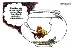 FACEBOOK PRIVACY  by Jimmy Margulies