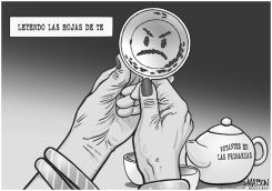 LEYENDO LAS HOJAS DE TE by R.J. Matson