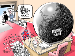 ISSUES BEFORE CAMERON  by Paresh Nath