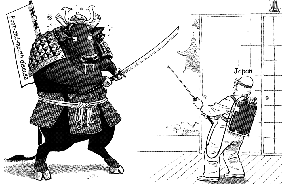 Duel