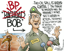 BP BOB  by John Cole